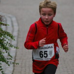 IMGP2484